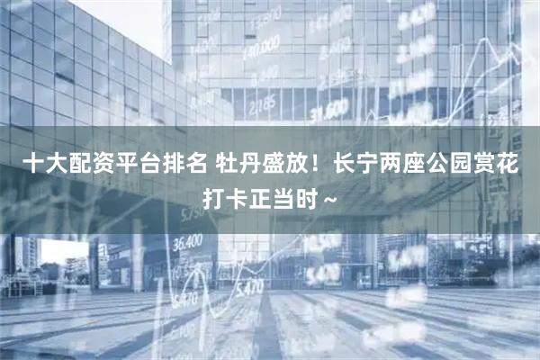 十大配资平台排名 牡丹盛放！长宁两座公园赏花打卡正当时～