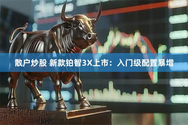 散户炒股 新款铂智3X上市：入门级配置暴增